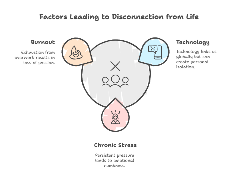 Why Do We Feel Disconnected from Life